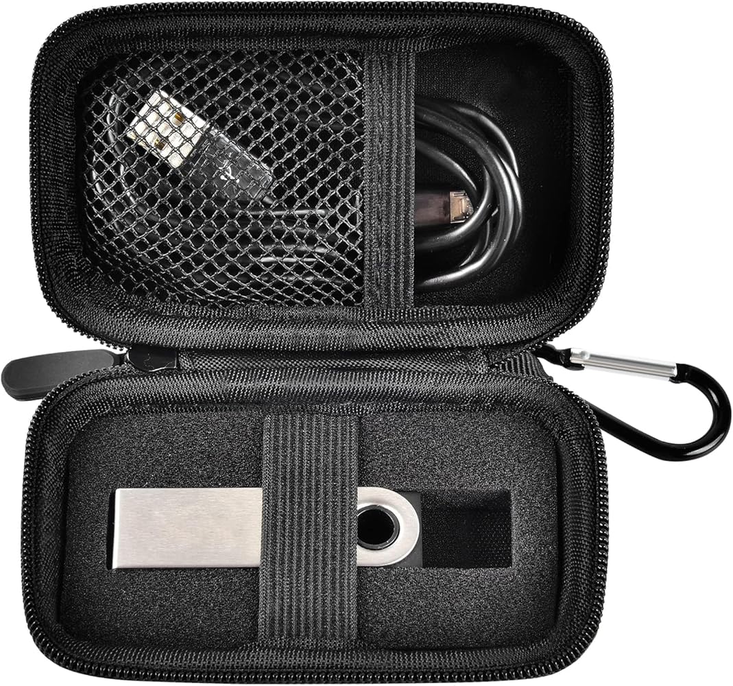 Chainlink Ledger Nano X